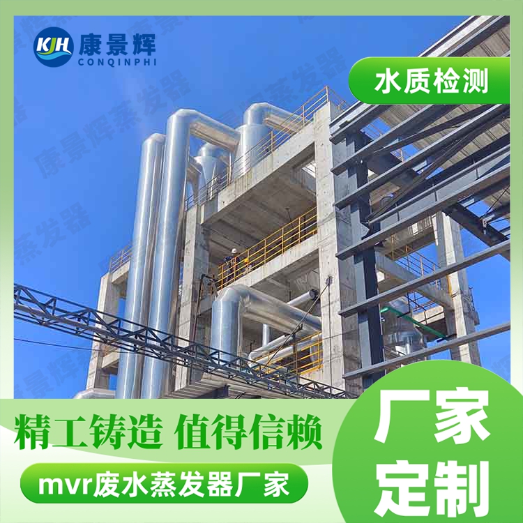 濕（shī）法冶煉高鹽廢水鈷（gǔ）回收MVR蒸發器