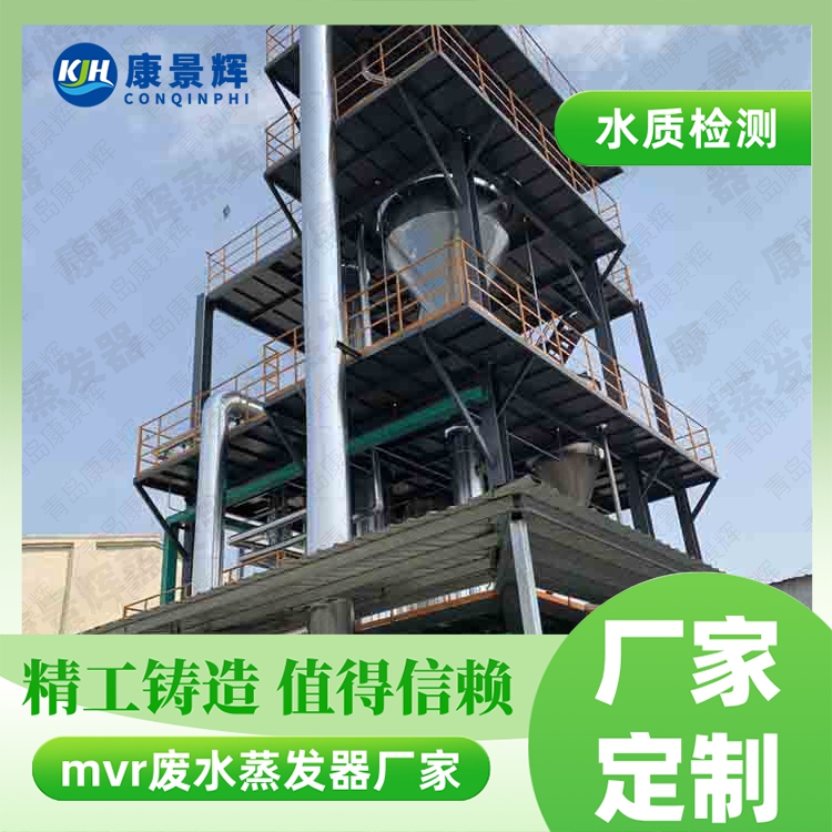 硫酸鎳 MVR 蒸發結晶係統