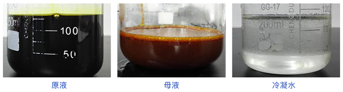 MMV水質實驗測試對比(bǐ)圖 MMV水質實驗測試對(duì)比圖(tú)